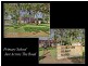204 St Brigids tce, Doubleview WA 6018
