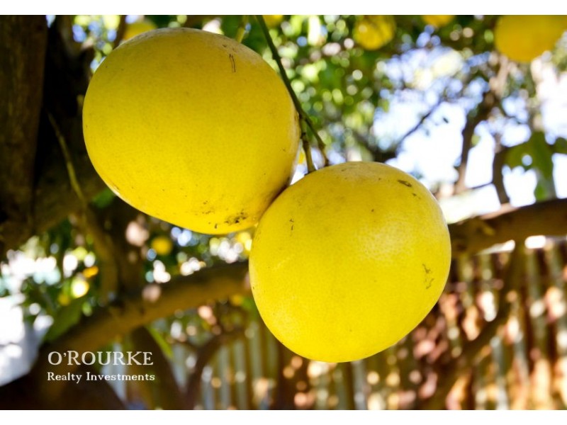 63 Beatrice Street, Innaloo WA 6018