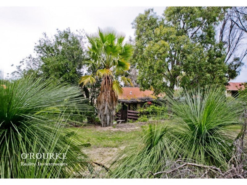 1 Combwich Court, Karrinyup WA 6018