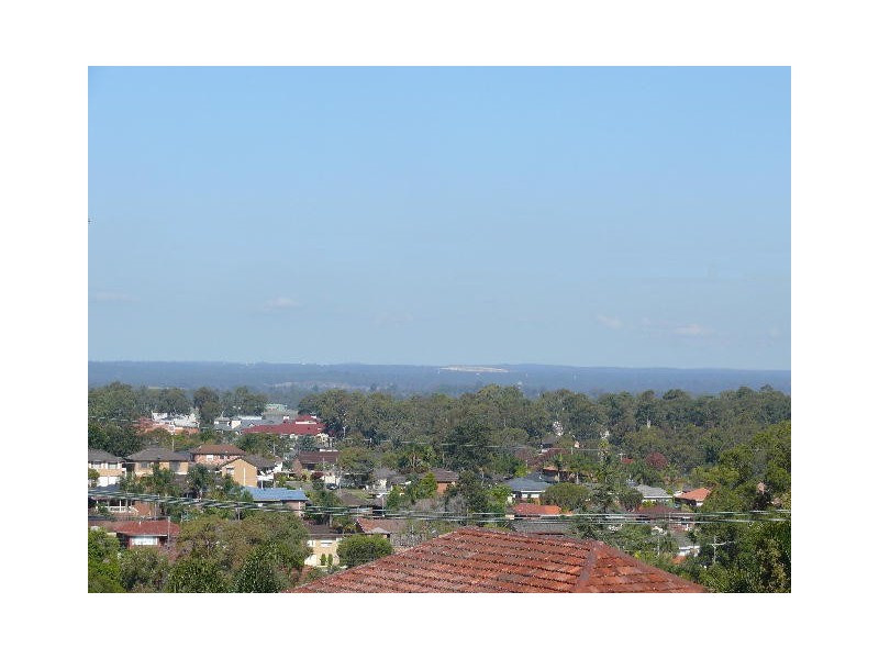 38 Wendy Av, Georges Hall NSW 2198