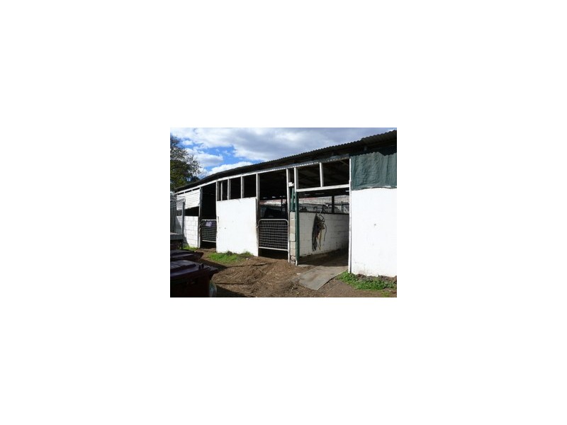 19 Ellis Street, Condell Park NSW 2200