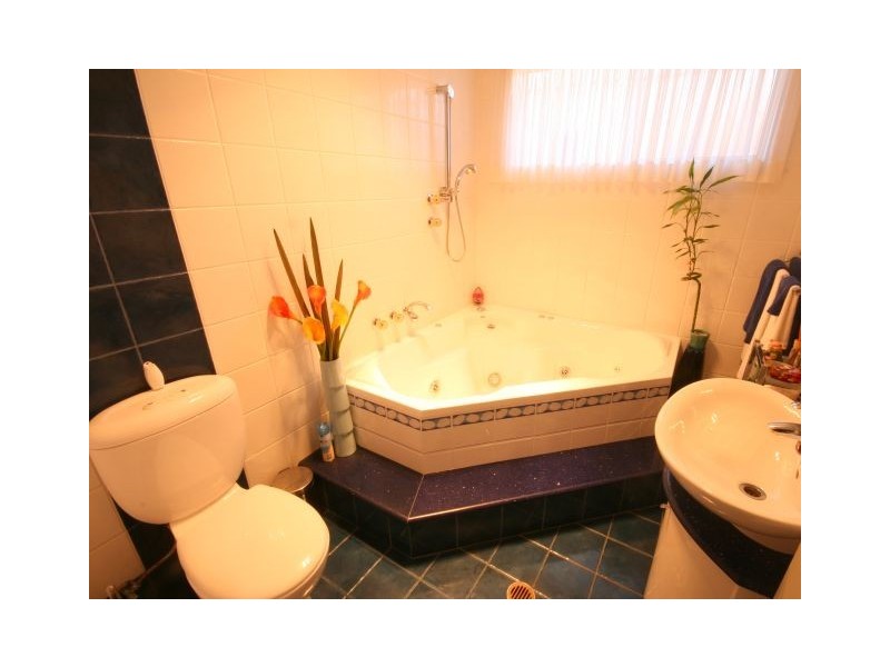 301 Johnston Road, Bass Hill NSW 2197