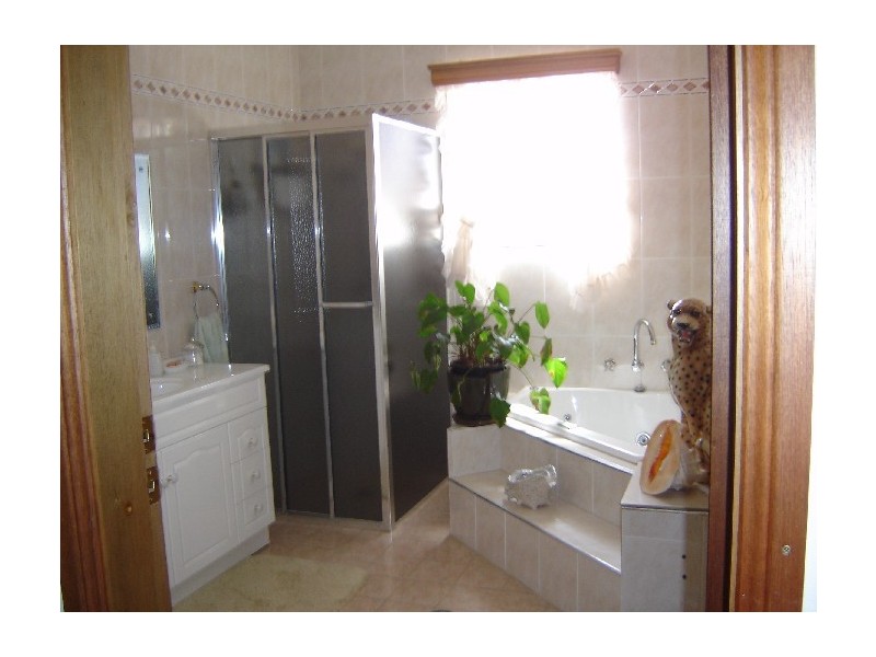 64 Carrington Street, Revesby NSW 2212