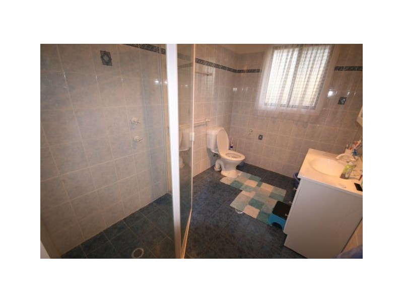 10 Newman Street, Bass Hill NSW 2197