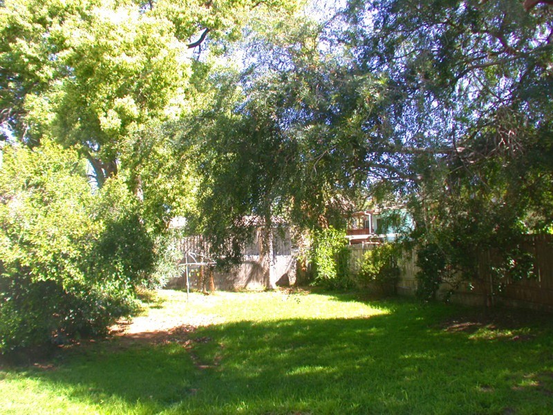 26 Wilkinson Lane, Telopea NSW 2117