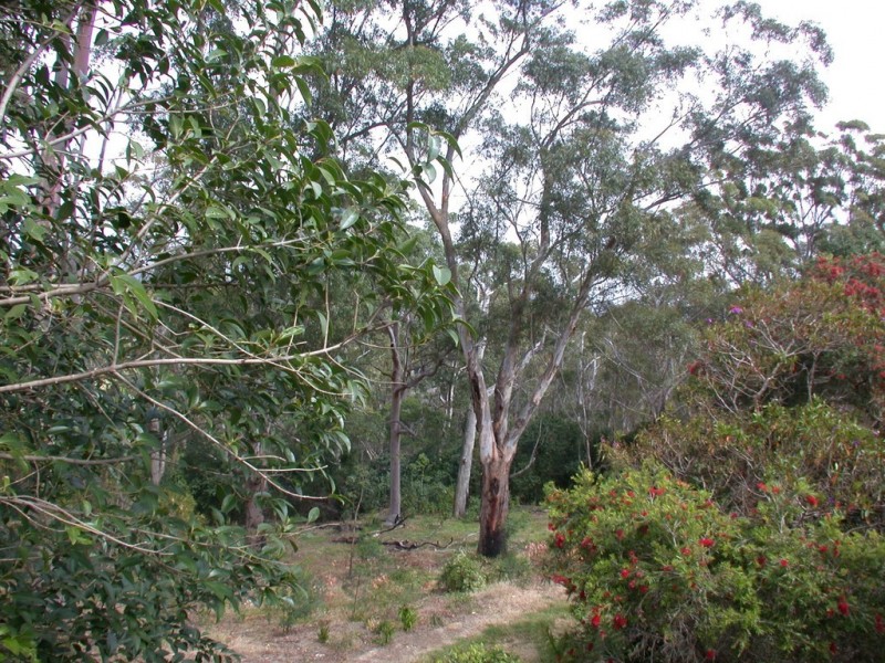 4/324 Marsden Road, Carlingford NSW 2118