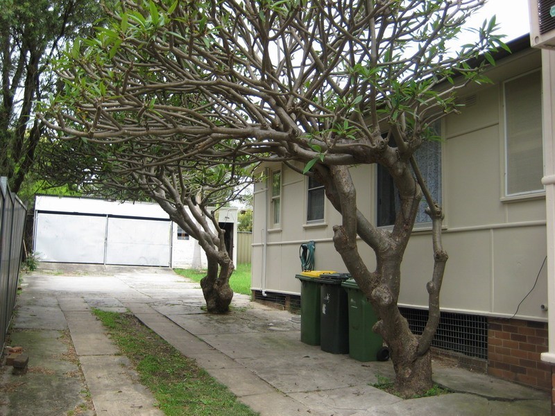 26 Quarry road, Dundas NSW 2117