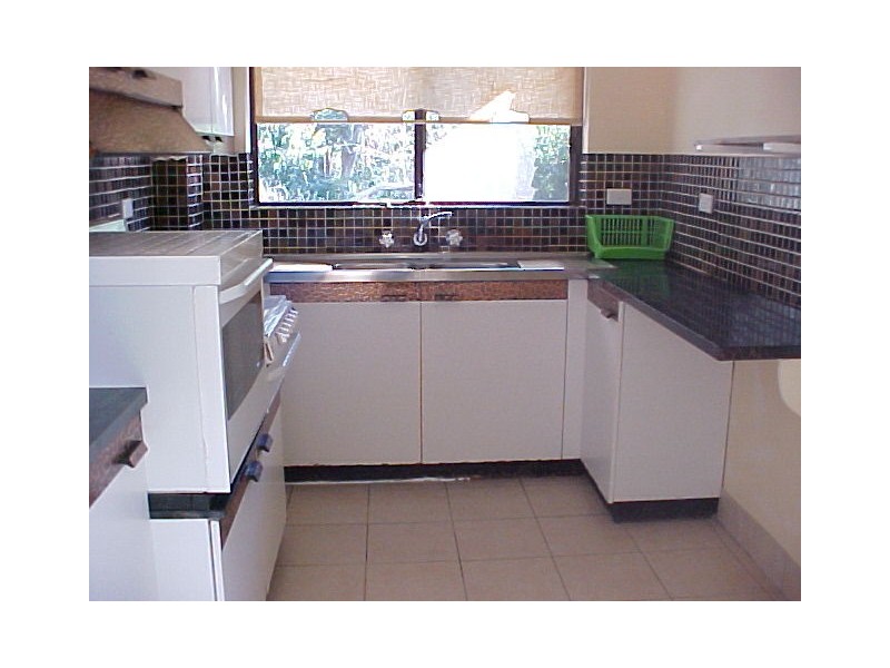 17 Neptune Street, Dundas NSW 2117