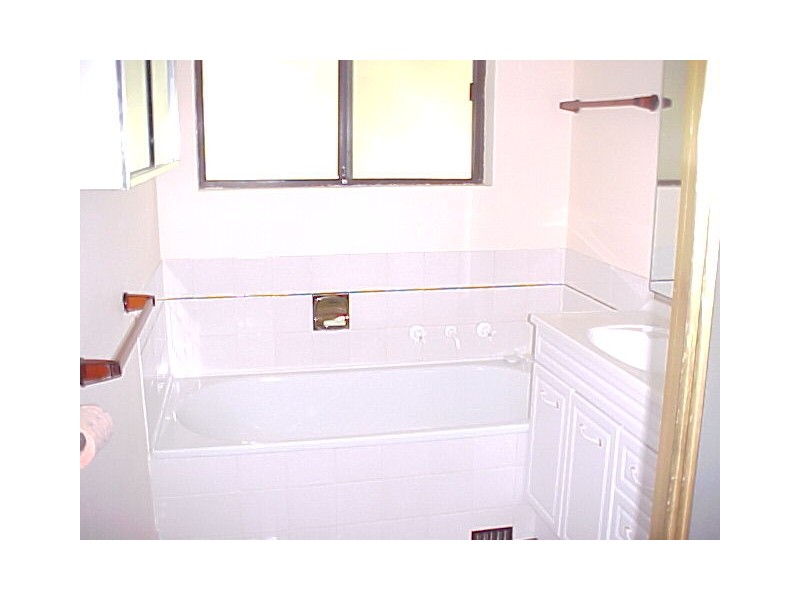 17 Neptune Street, Dundas NSW 2117