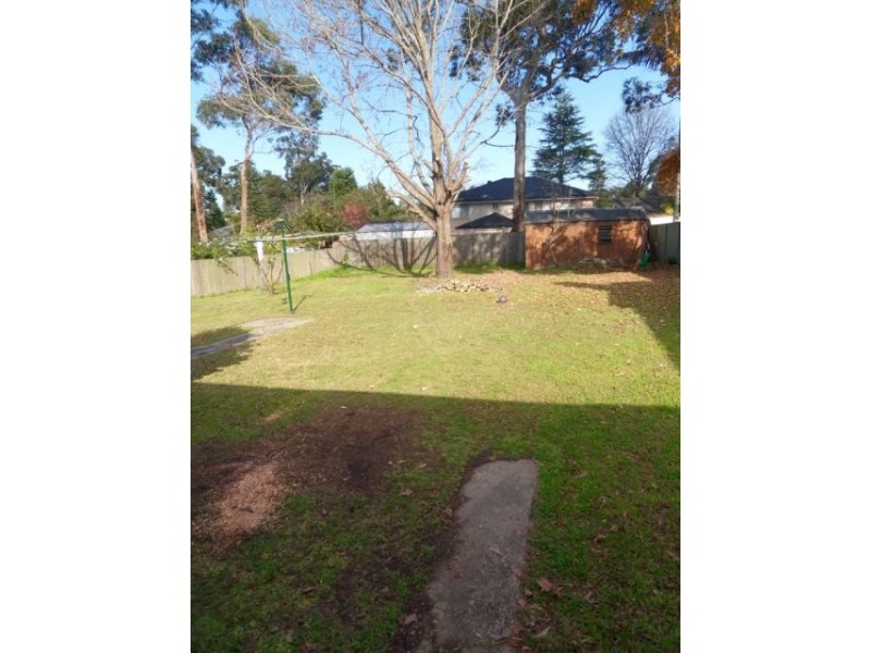 24 Darwin Street, Carlingford NSW 2118