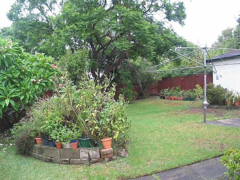 19 The Parade, Telopea NSW 2117