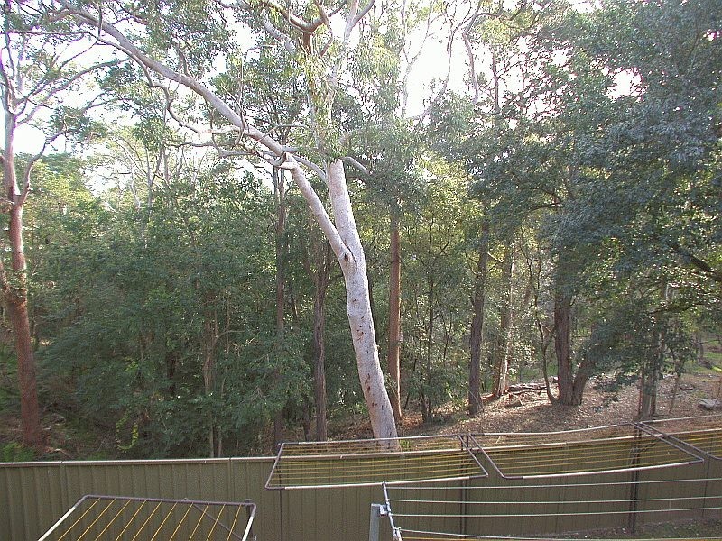 46/19-27 Adderton Road, Telopea NSW 2117