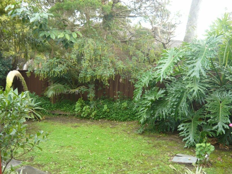 411 North Rocks Road, Carlingford NSW 2118