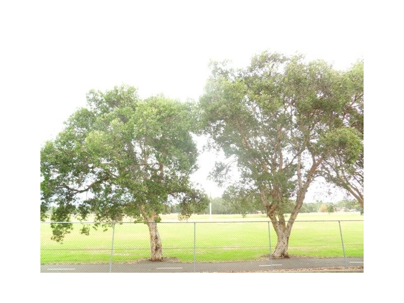 8/14A Meadow Crescent, Meadowbank NSW 2114