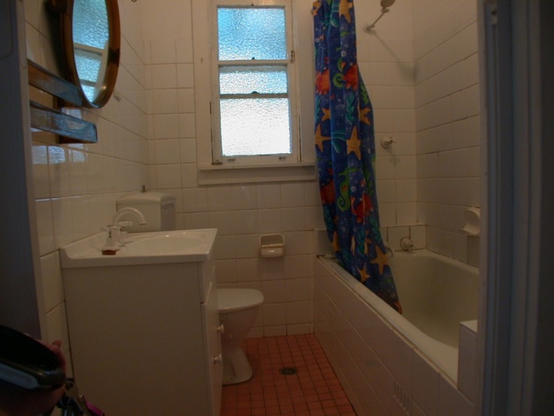 19 Adamson Avenue, Dundas NSW 2117