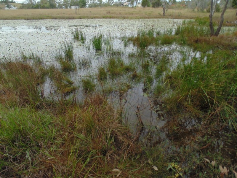 Coringa QLD 4621