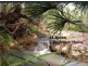 Lowmead QLD 4676