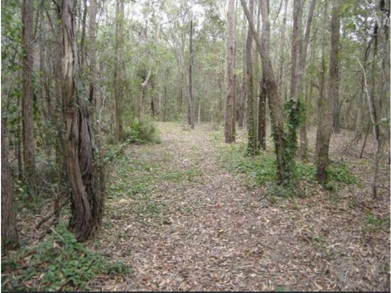 Lowmead QLD 4676