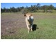 Maroondan QLD 4671