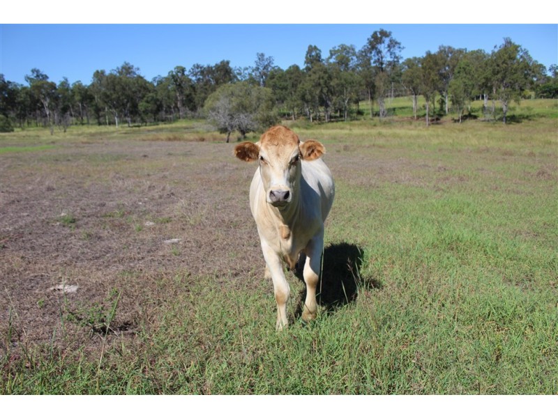 Maroondan QLD 4671