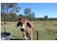 Maroondan QLD 4671