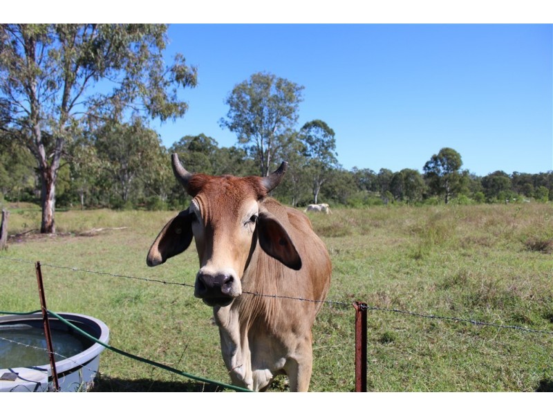 Maroondan QLD 4671