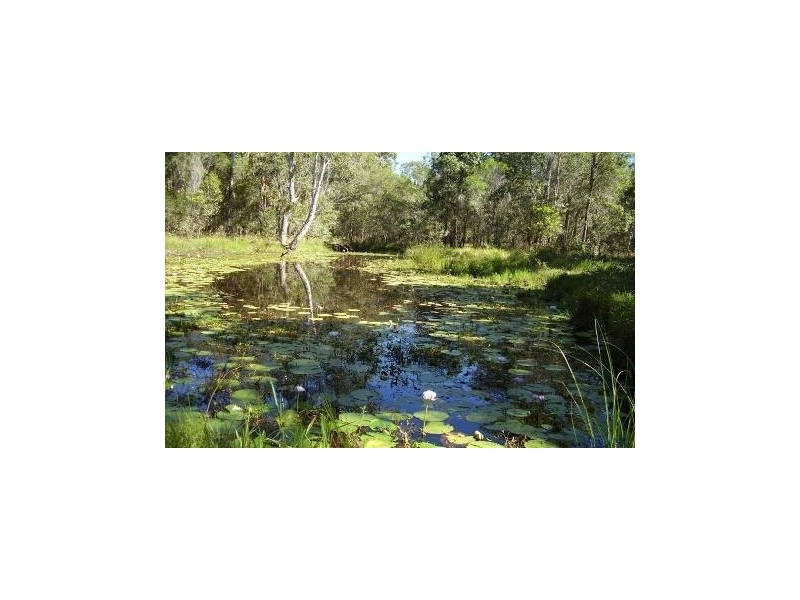 Baffle Creek QLD 4674