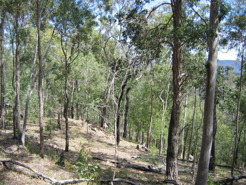 Mount Perry QLD 4671