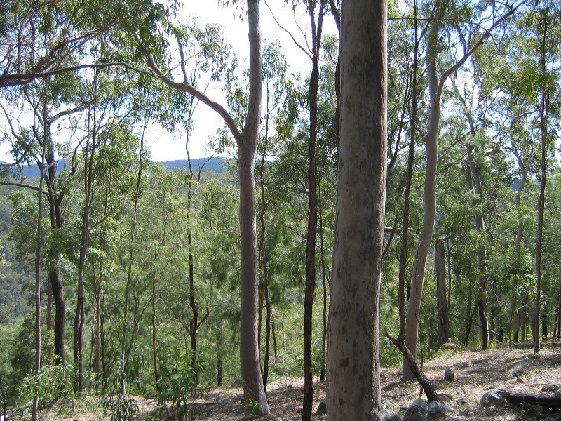 Mount Perry QLD 4671