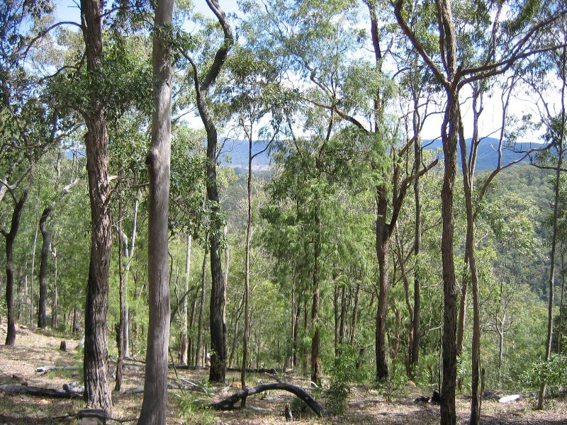 Mount Perry QLD 4671