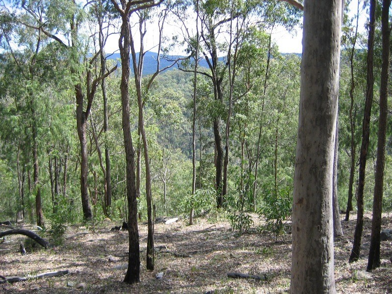 Mount Perry QLD 4671