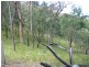 Mount Perry QLD 4671