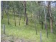 Mount Perry QLD 4671