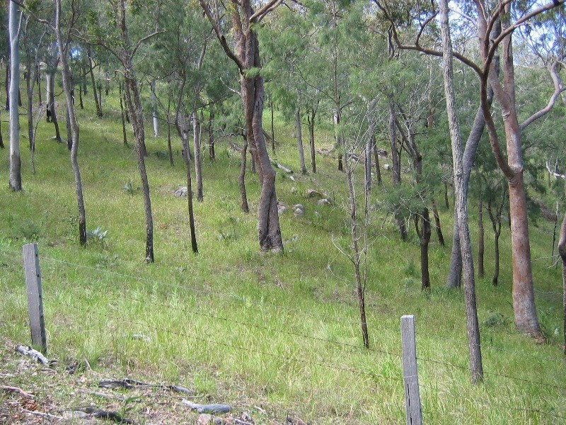 Mount Perry QLD 4671