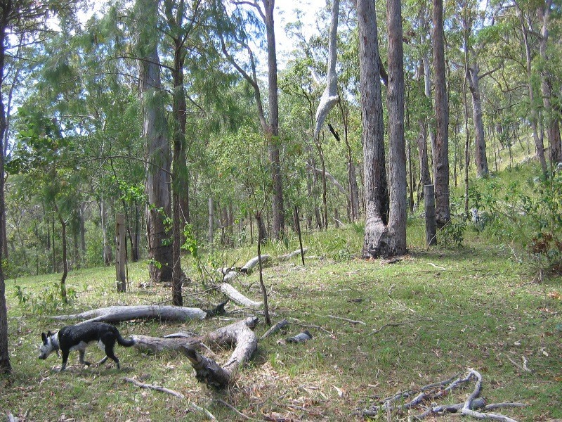 Mount Perry QLD 4671