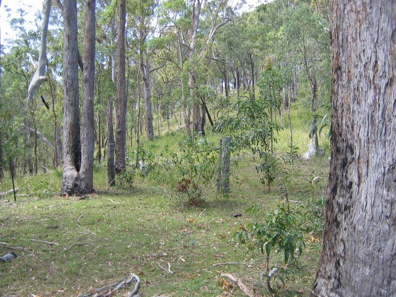 Mount Perry QLD 4671