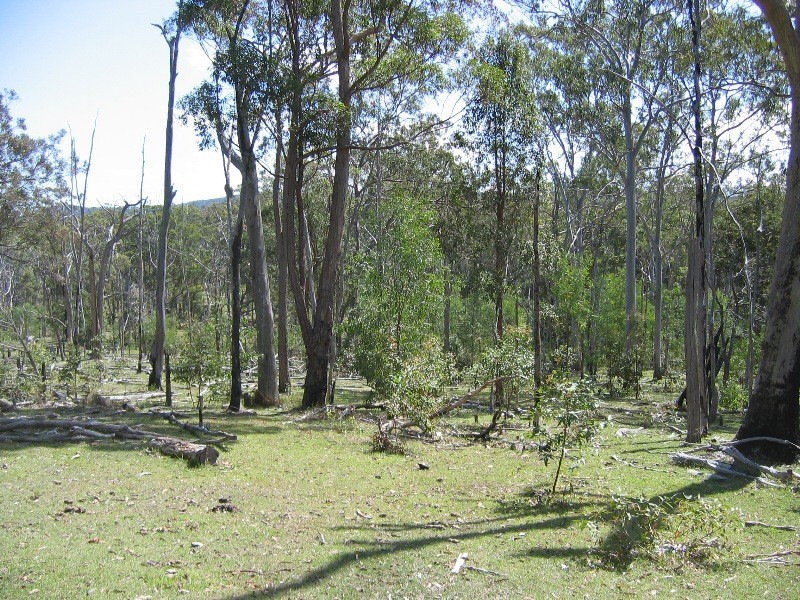 Mount Perry QLD 4671