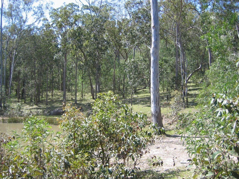 Mount Perry QLD 4671