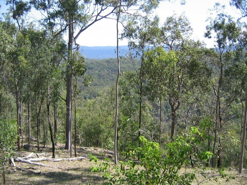 Mount Perry QLD 4671