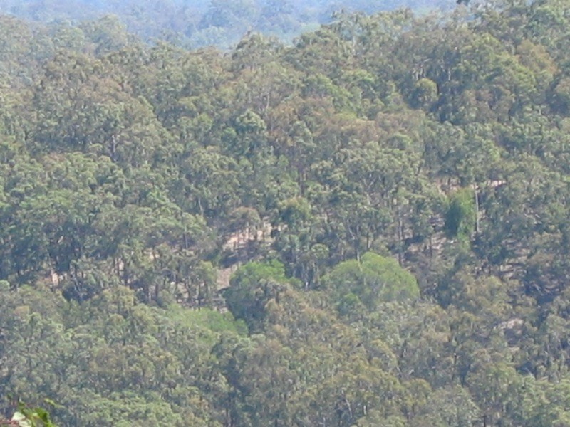 Mount Perry QLD 4671