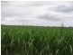Gin Gin QLD 4671