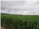 Gin Gin QLD 4671