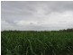 Gin Gin QLD 4671