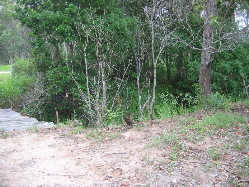 Gin Gin QLD 4671
