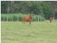 Gin Gin QLD 4671
