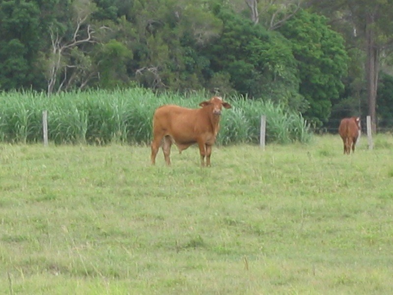 Gin Gin QLD 4671