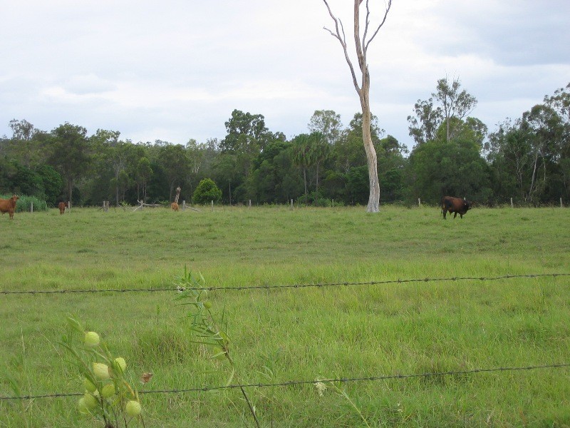 Gin Gin QLD 4671
