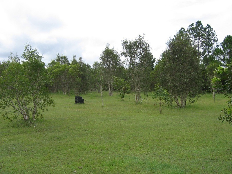 South Kolan QLD 4670