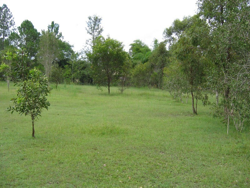 South Kolan QLD 4670