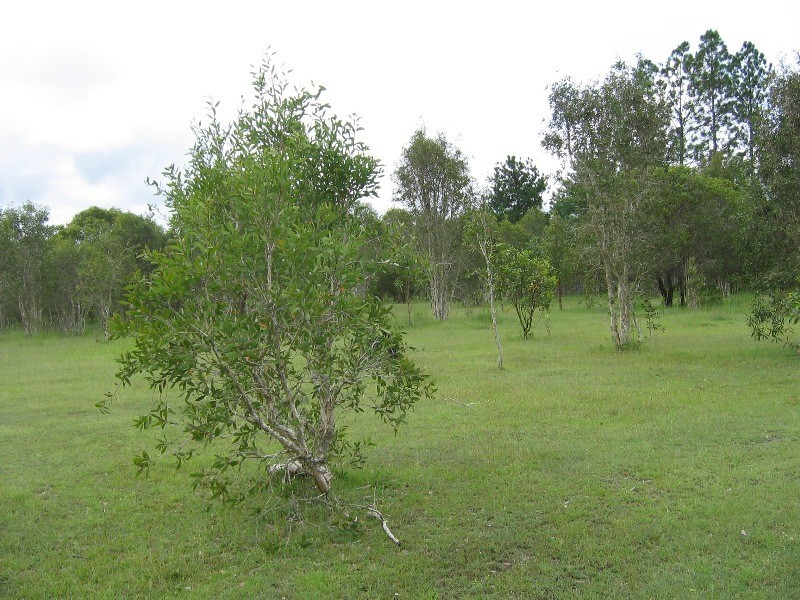 South Kolan QLD 4670